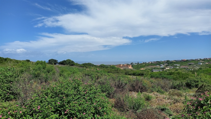 0 Bedroom Property for Sale in Forest Downs Eastern Cape